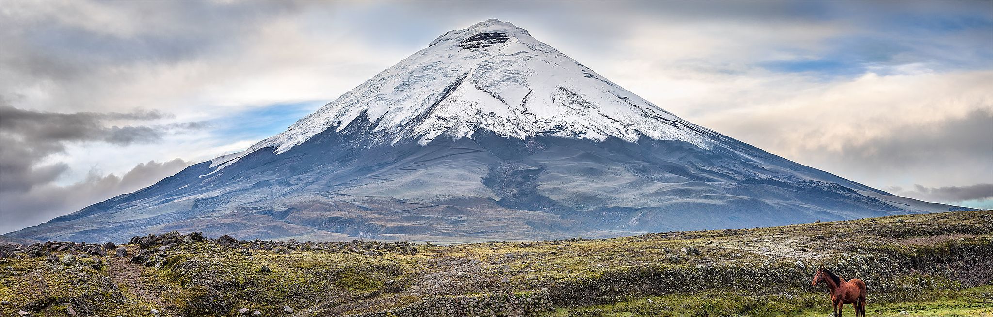 Pakkeliste | Cotopaxi