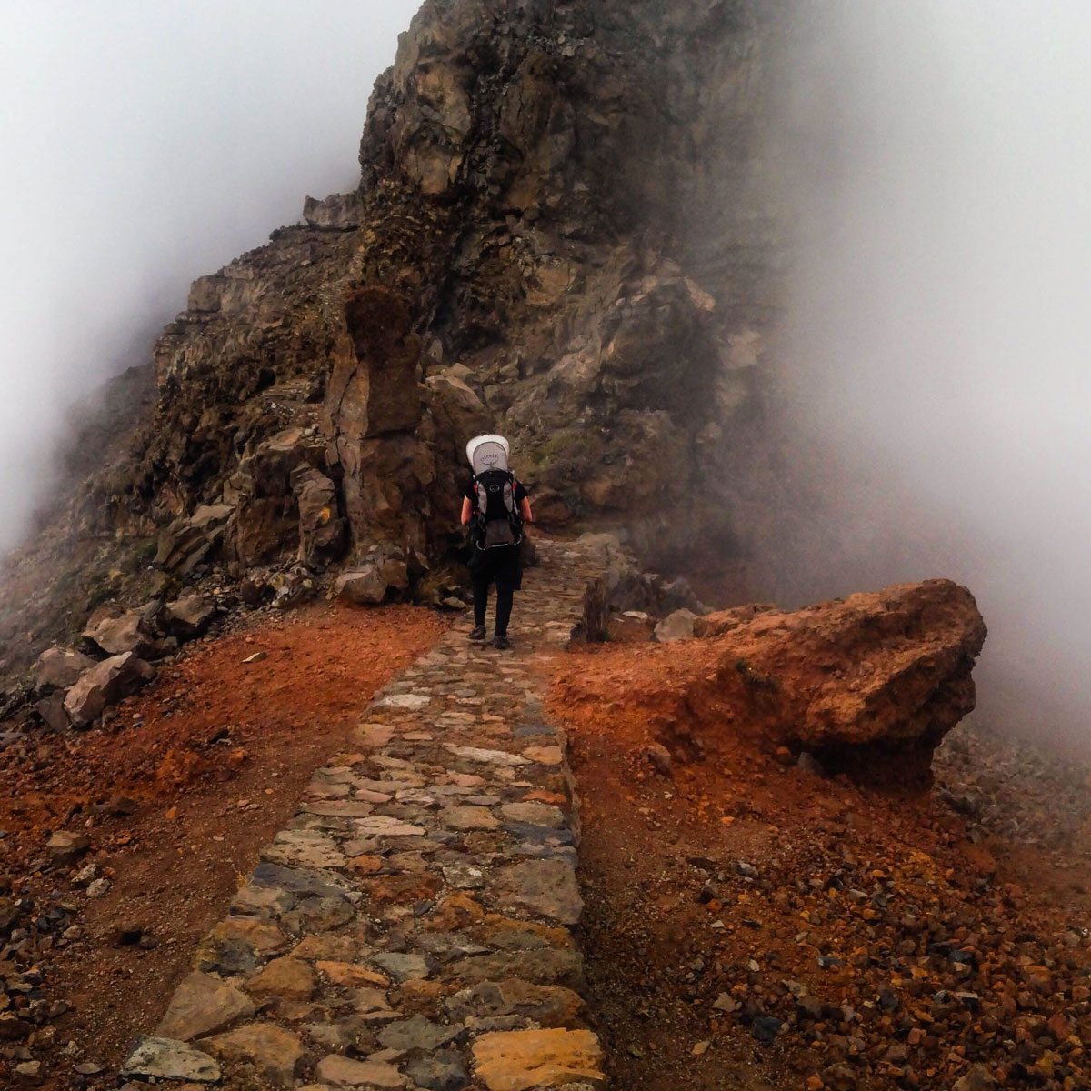 Vandretur med spædbarn på De kanariske øer: La Gomera og La Palma.