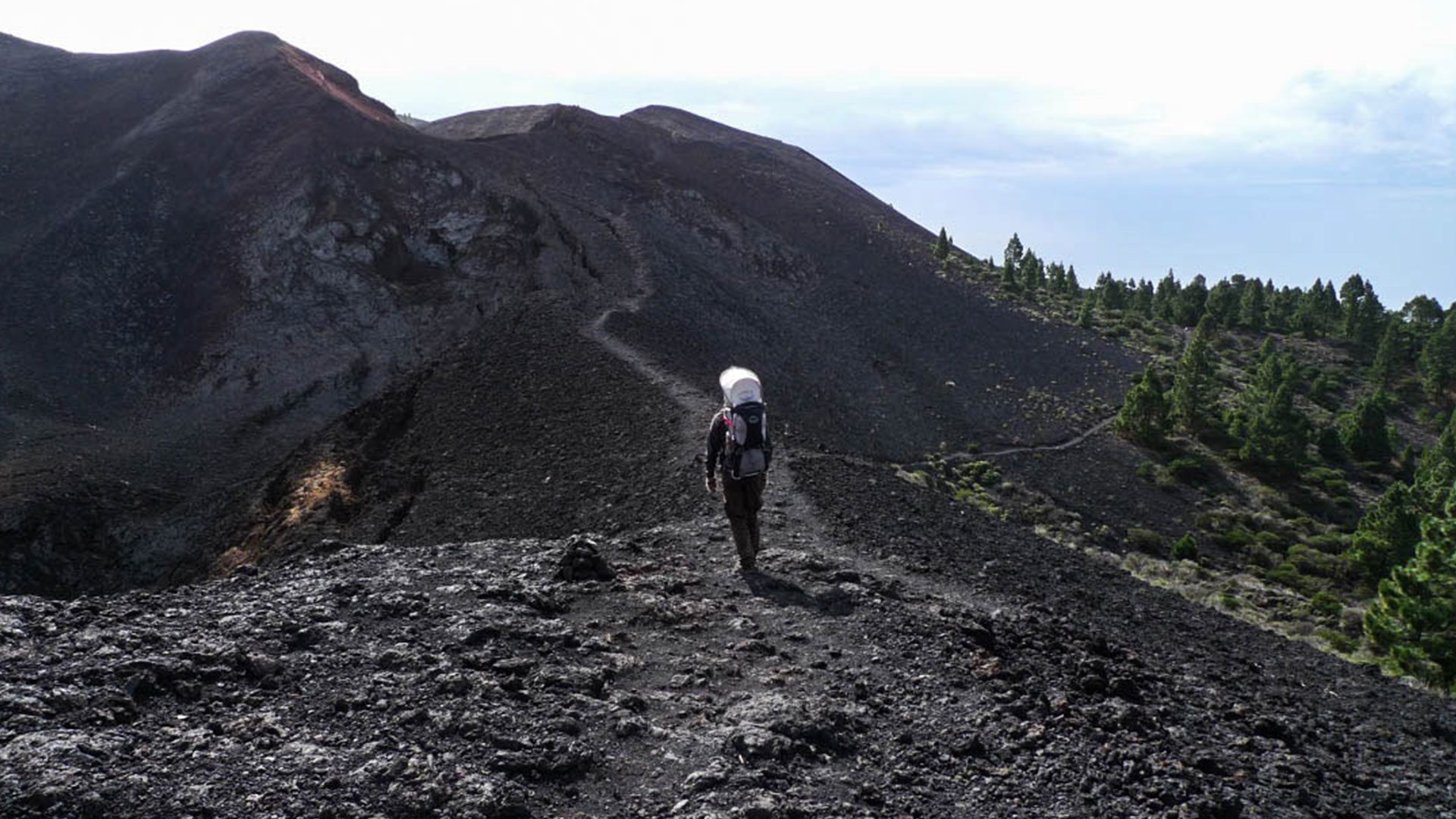 Fokus | De Kanariske Øer – La Gomera og La Palma