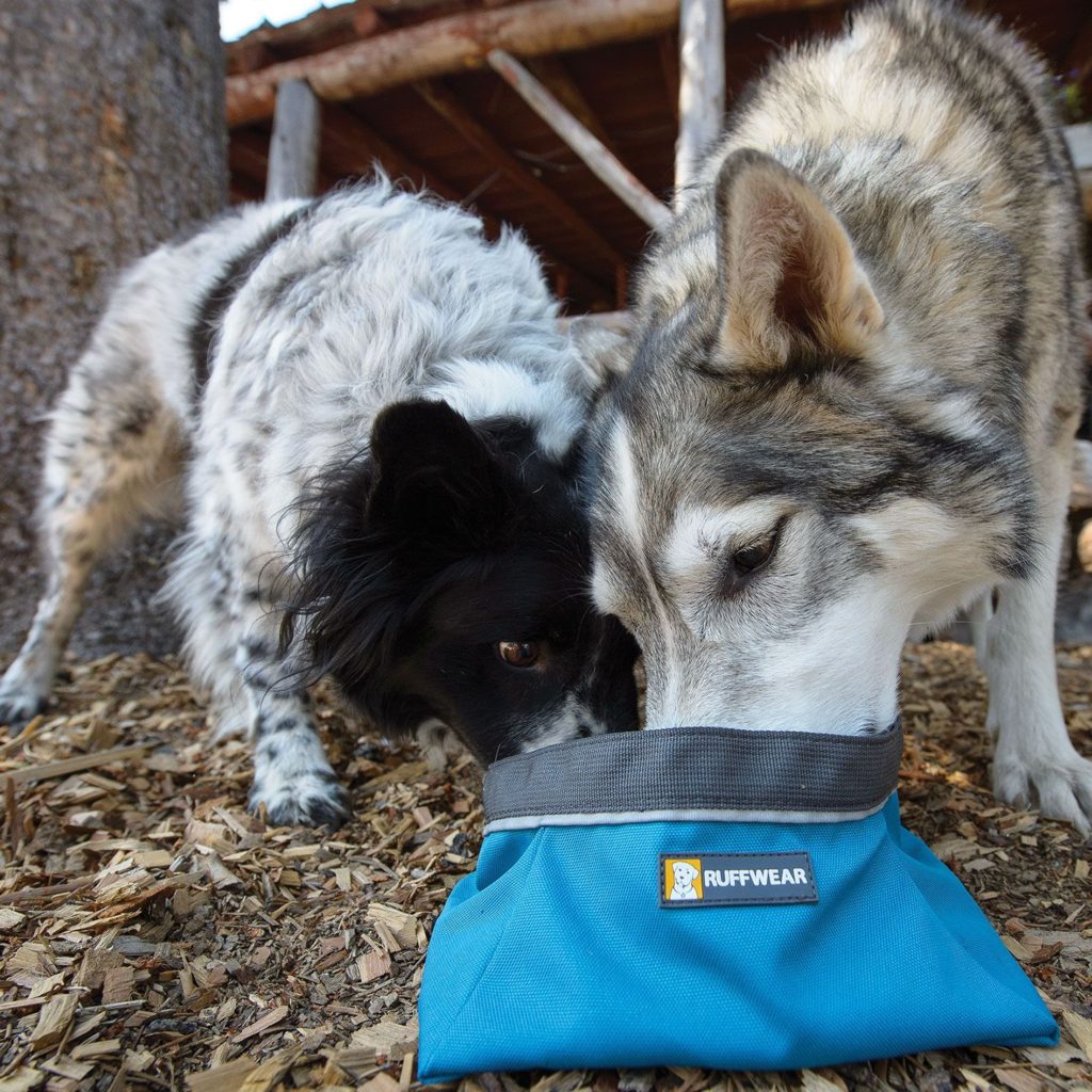 Drikkeskålen "Quencher", der startede det hele. Foto: Ruffwear.