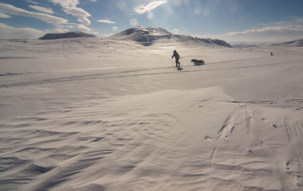 Foto: Rasmus Normann Levin Larsen