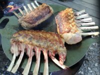 Test | Petromax Griddle & Fire Bowl
