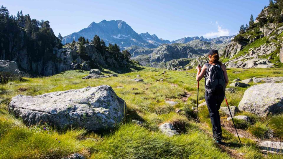 Guide | Solbeskyttelse i sommervarmen