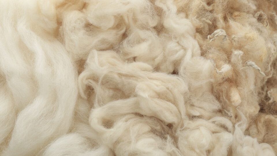Plejeguide | Vask og pleje af uldprodukter