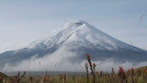 Blog | Alt du skal vide om at bestige Cotopaxi (5.897 m)